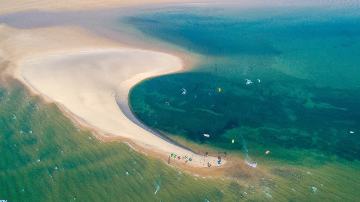 Le banc d'arguin à Dakhla : sanctuaire naturel et trésor écologique au Maroc