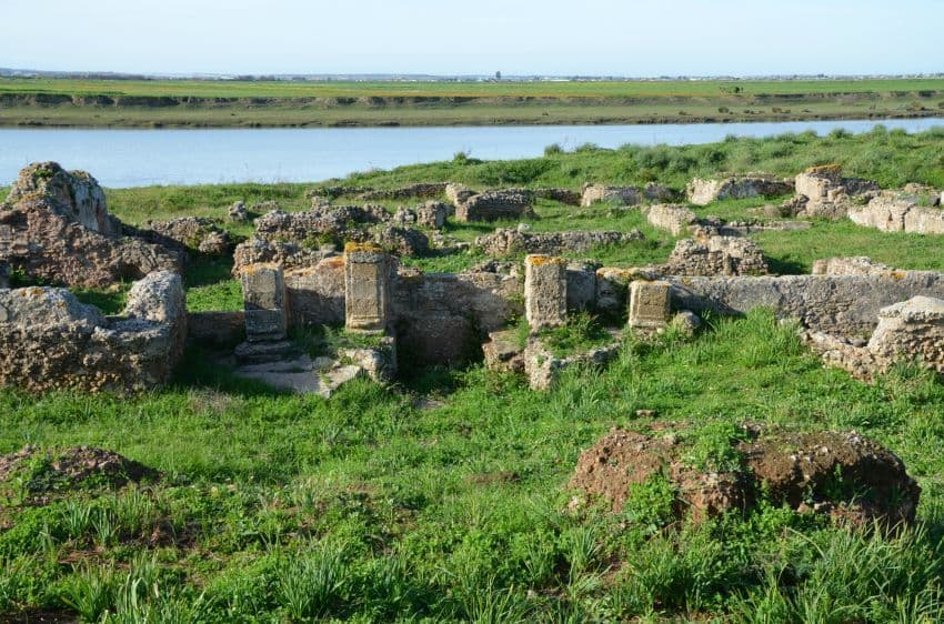 Thamusida : Un trésor historique au coeur de Kénitra